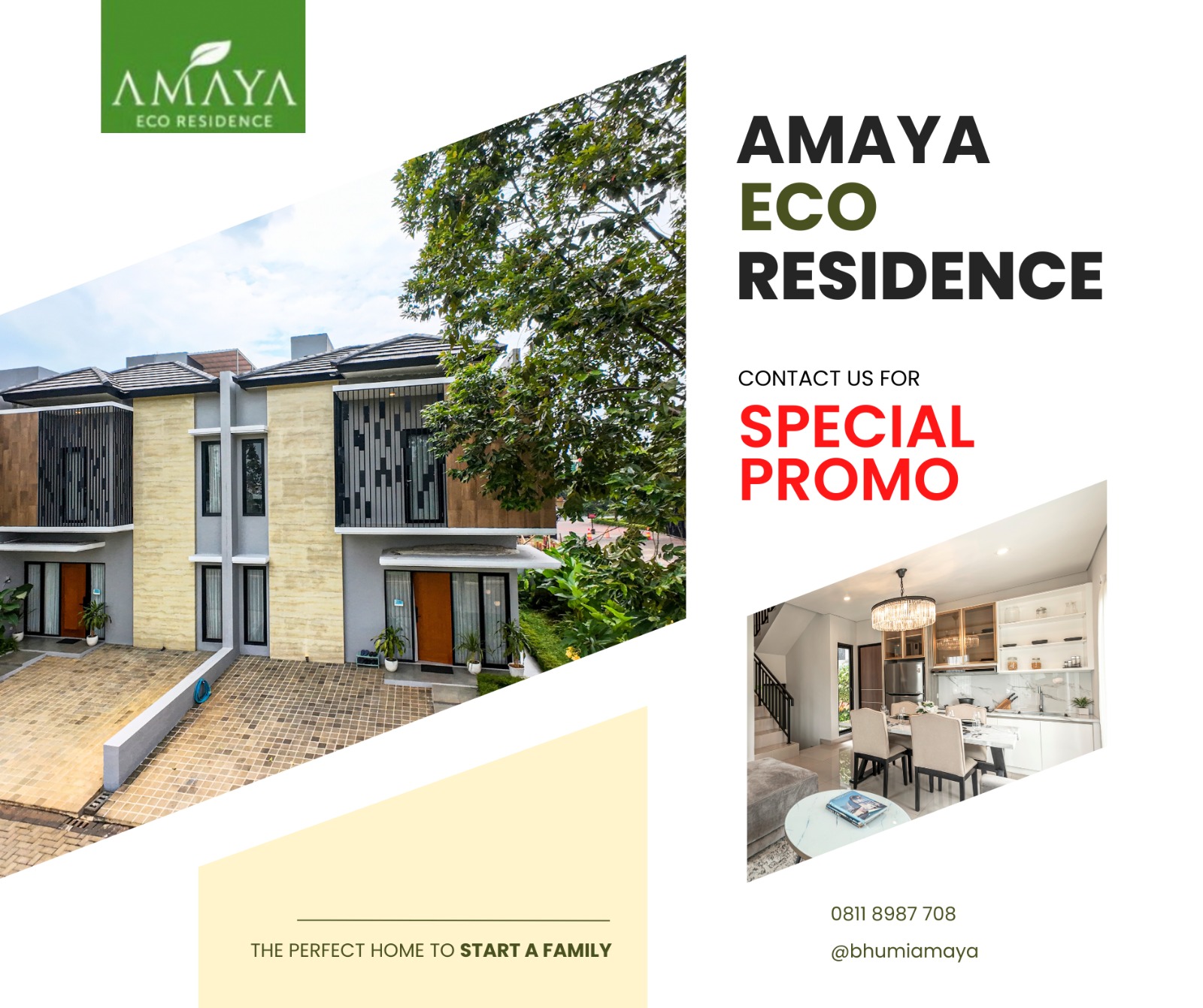 amaya eco1
